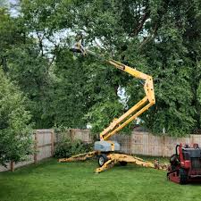 Trusted Ladson, SC  Tree Services Experts