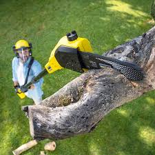 Best Lawn Fertilization Services  in Ladson, SC